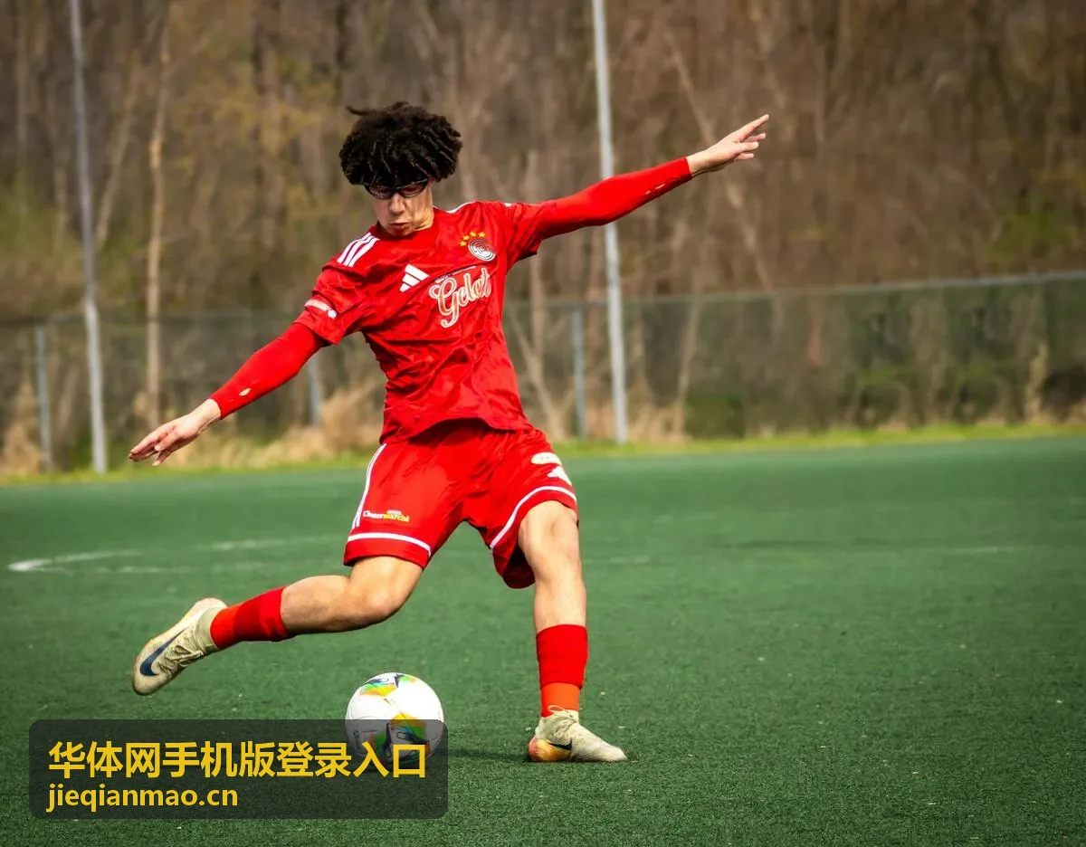 华体网手机版登录入口小屏与老旧机型排查