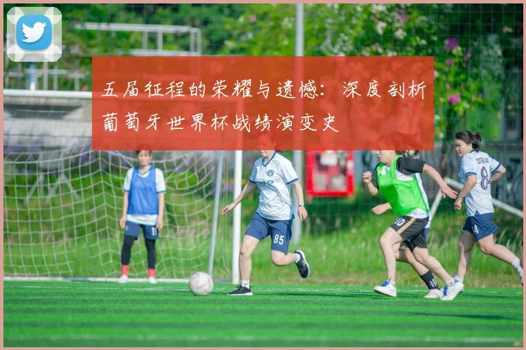 五届征程的荣耀与遗憾：深度剖析葡萄牙世界杯战绩演变史